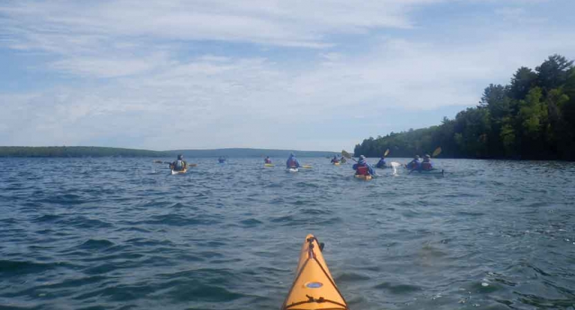 a group of kayaks are paddled on a blue lake with trees lining the shore